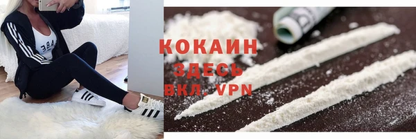 круглые Аркадак