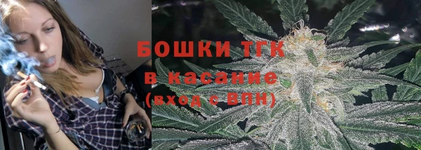 стаф Арсеньев