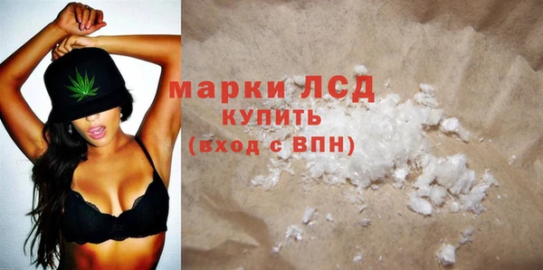 стаф Арсеньев