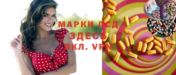 стаф Арсеньев