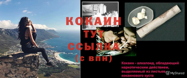 стаф Арсеньев