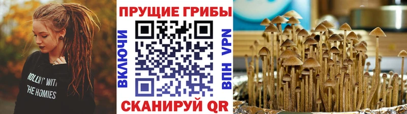 Псилоцибиновые грибы прущие грибы  Купить  Отрадный 